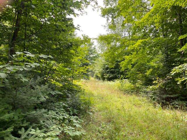 0 North Powerline Road Germfask, MI 49836 - Photo 16 of 17 Gallery Image 16
