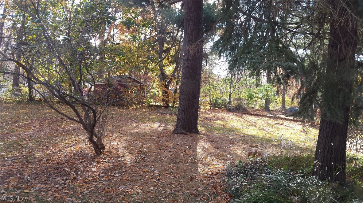 196 Overlook Road Painesville, OH 44077 - Photo 8 of 12 Gallery Image 8