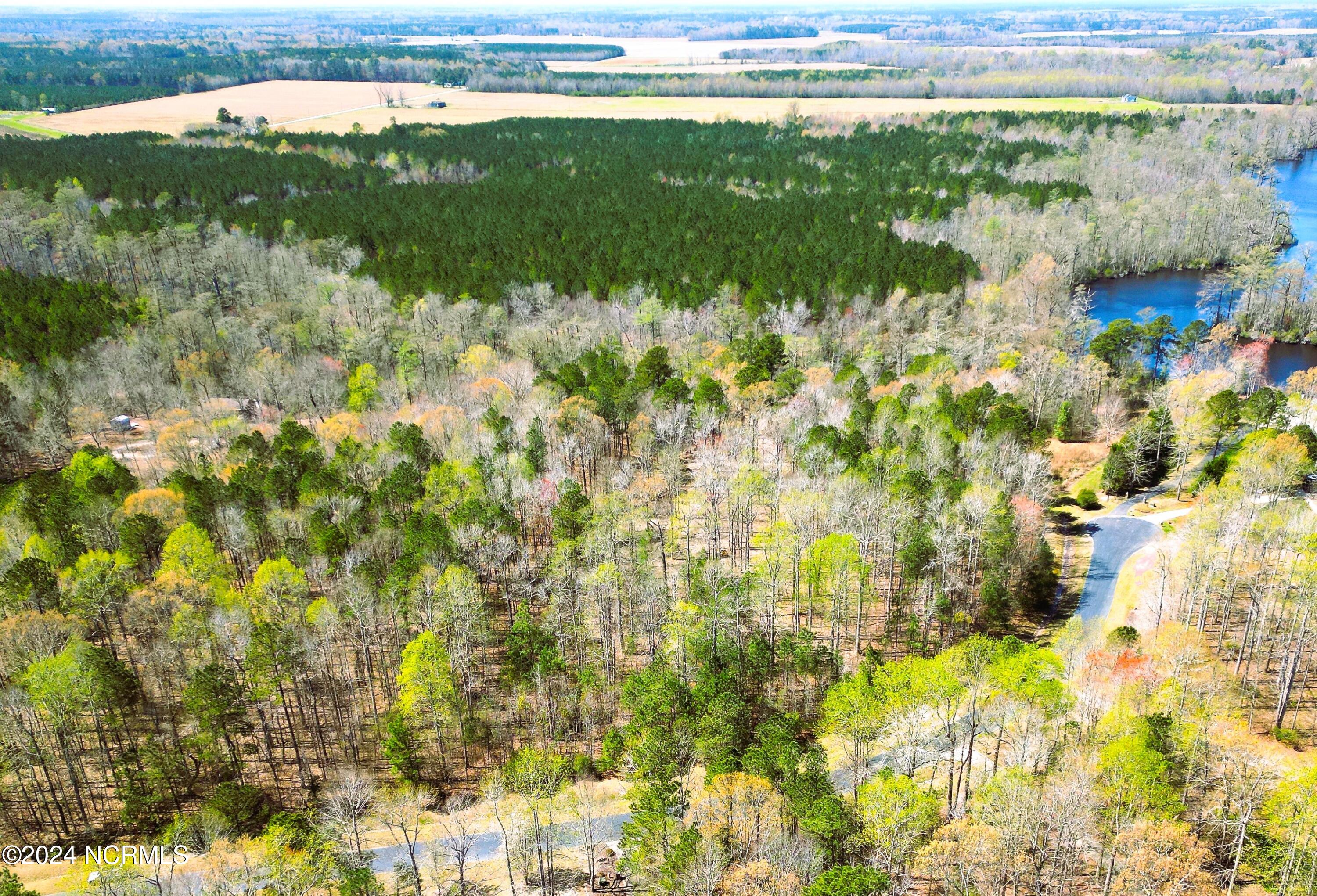 251 Pine Point Road Hertford, NC 27944 - Photo 14 of 18 AerialofEntireLot