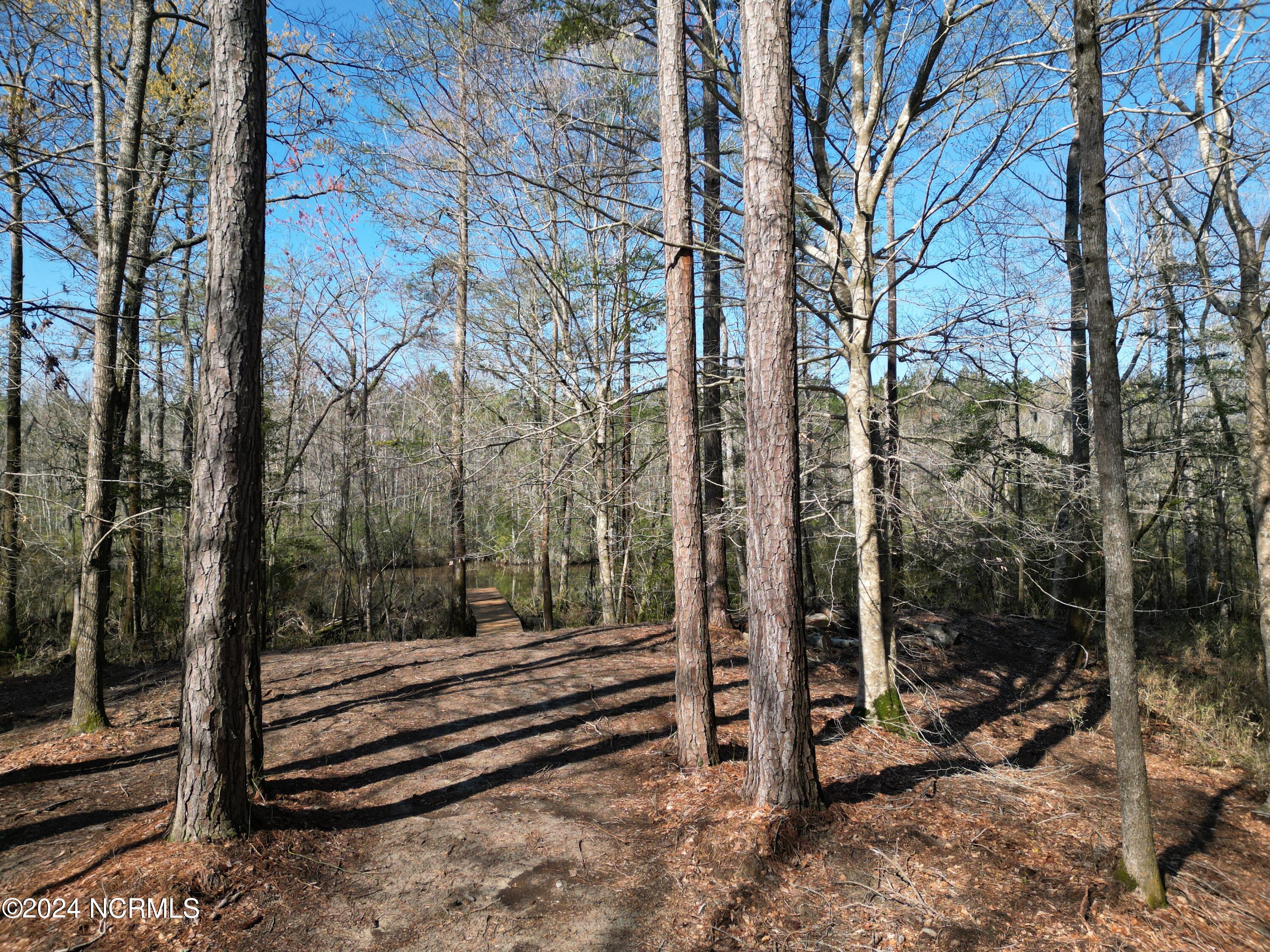251 Pine Point Road Hertford, NC 27944 - Photo 18 of 18 DJI_0094