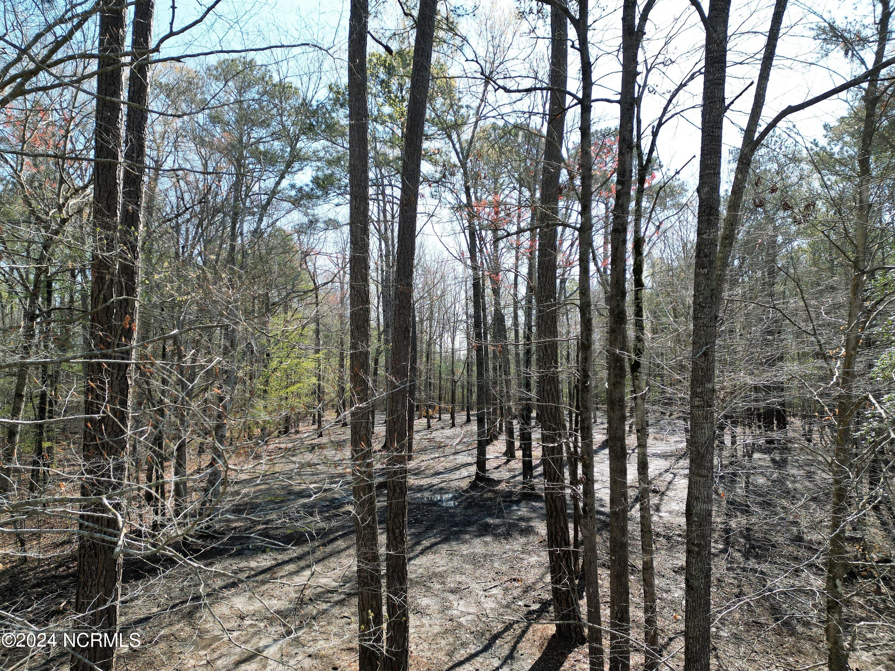 Lot Partially Cleared