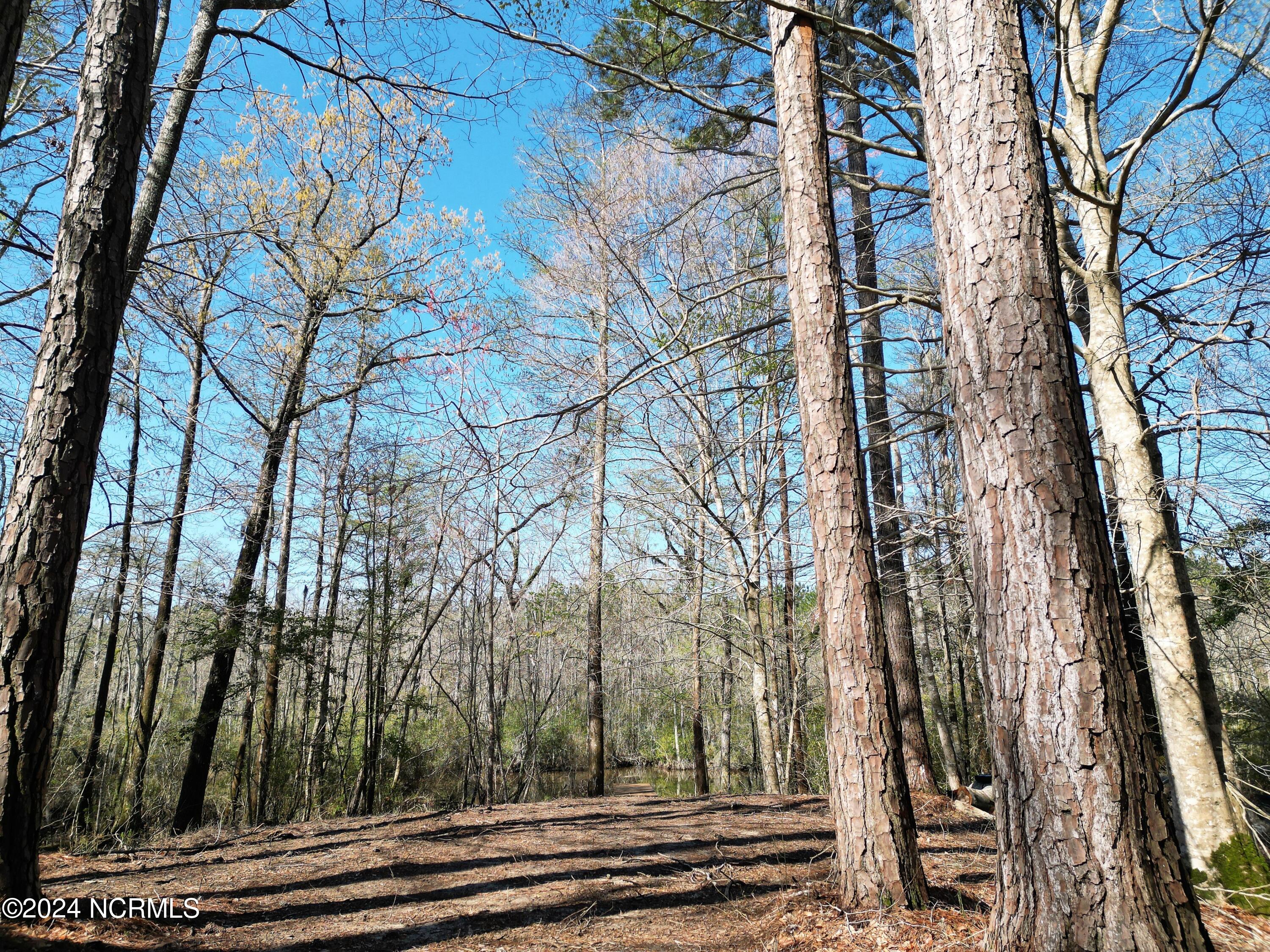 251 Pine Point Road Hertford, NC 27944 - Photo 9 of 18 ViewCloseToWater