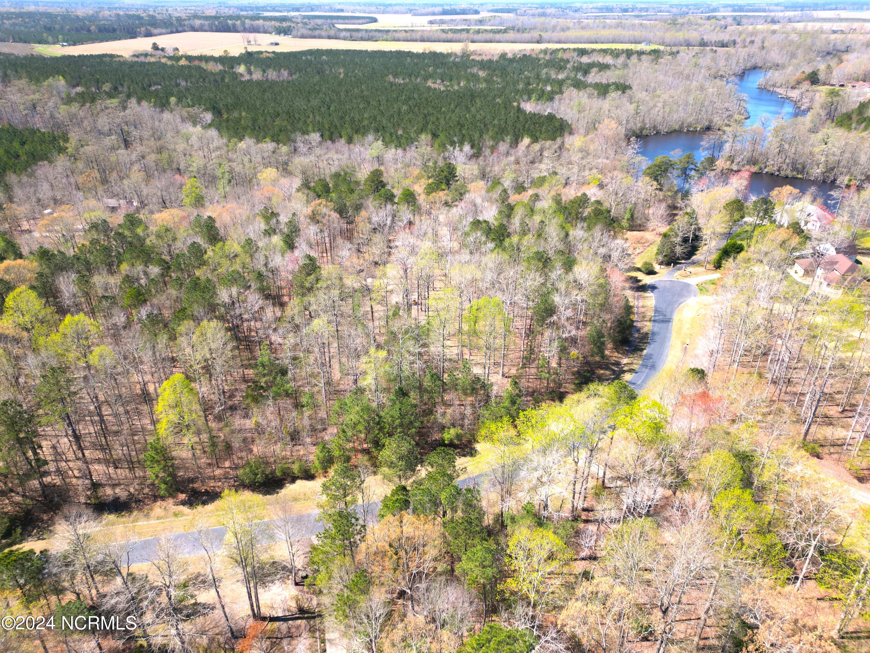 251 Pine Point Road Hertford, NC 27944 - Photo 10 of 18 ViewFromRd