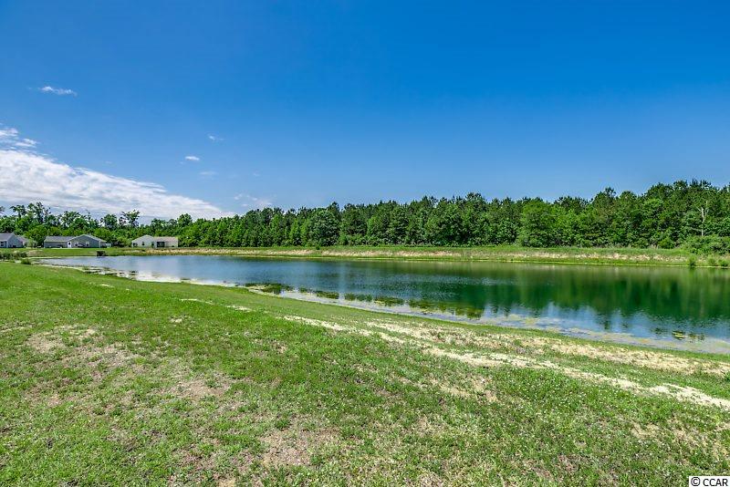 1410 Boker Road Conway, SC 29527 - Photo 19 of 23 Gallery Image 19