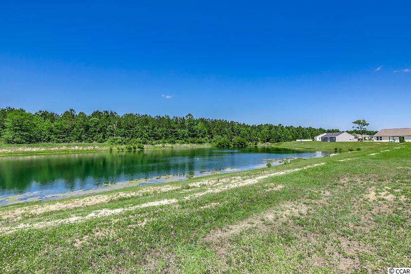 1410 Boker Road Conway, SC 29527 - Photo 20 of 23 Gallery Image 20