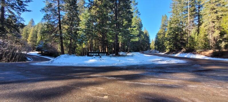 0 Audubon Road Mount Shasta, CA 96067 - Photo 2 of 13 Entrance to Timber Hills