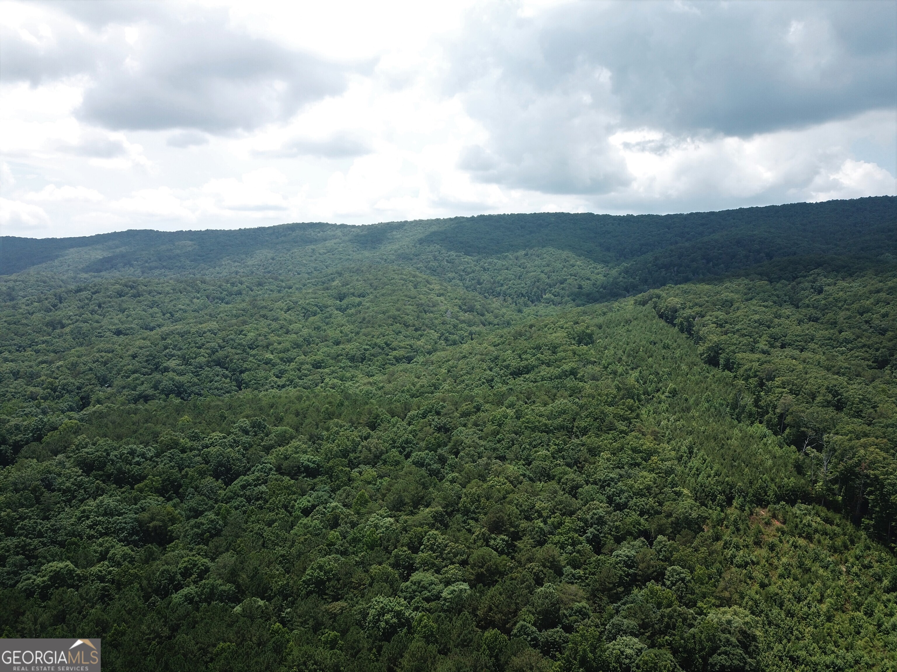 0 Everett Springs Road Armuchee, GA 30105 - Photo 19 of 23 a view of a bunch of trees in a field