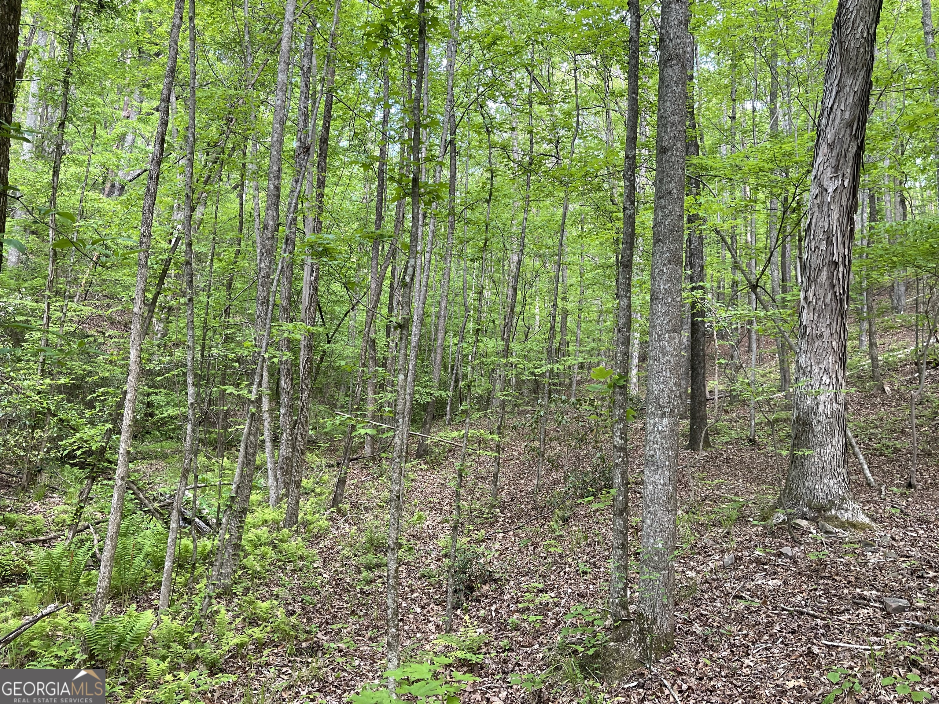 0 Everett Springs Road Armuchee, GA 30105 - Photo 9 of 23