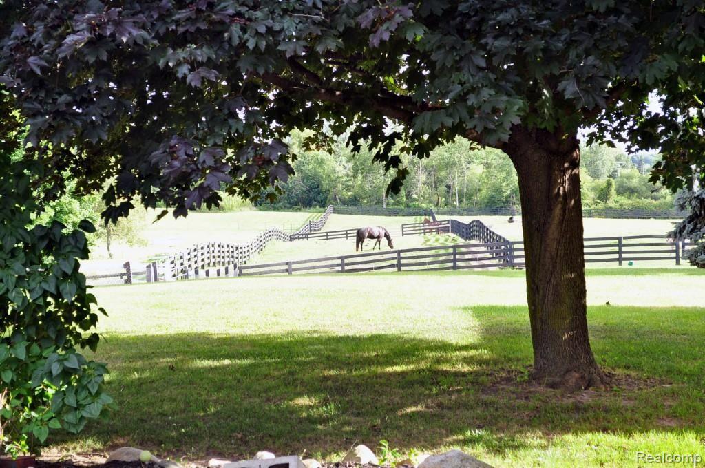 4526 Casey Road Dryden, MI 48428 - Photo 26 of 50 15517181828_98abf32eec_o.jpg