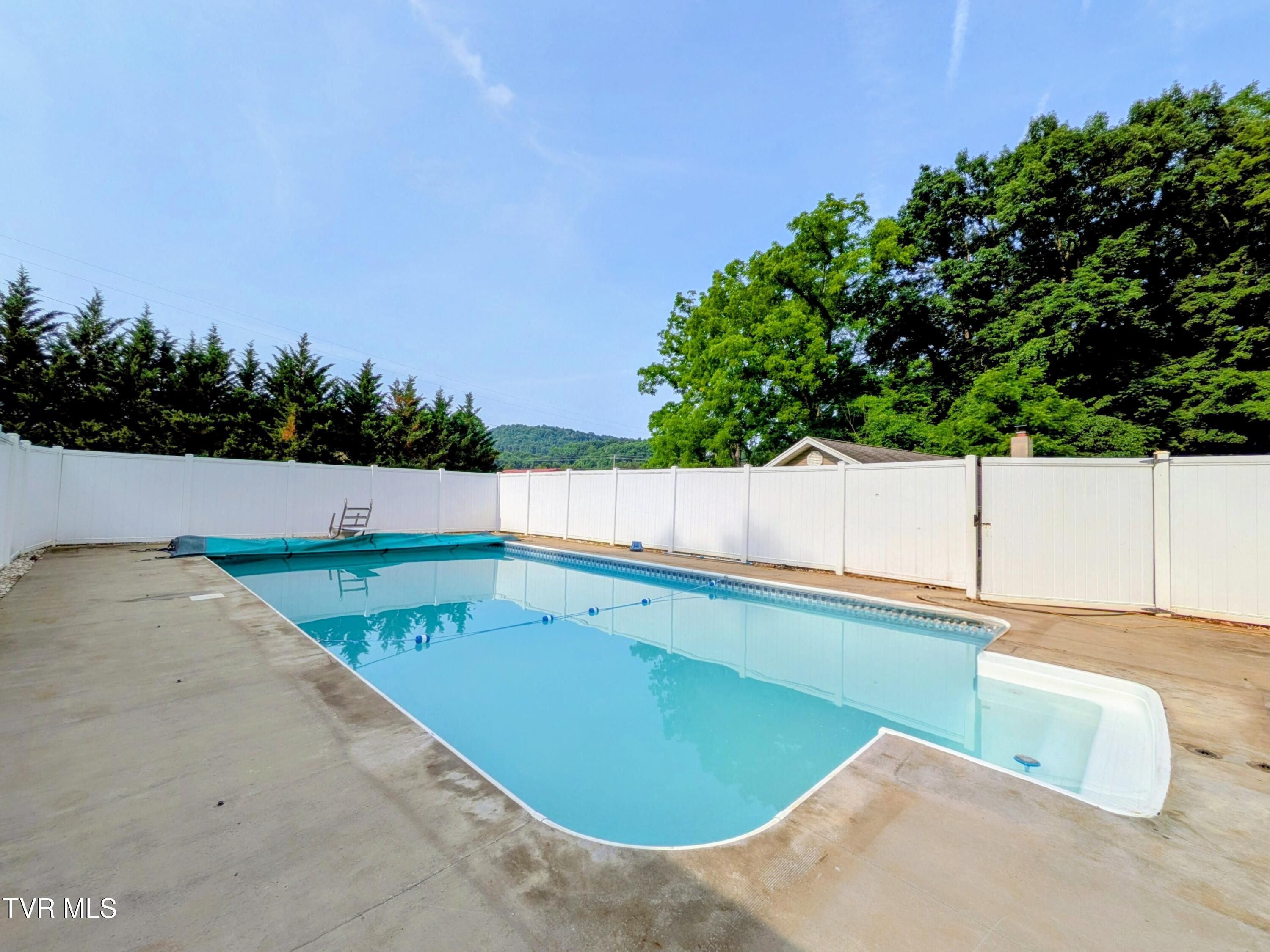 113 Nave Hollow Road Elizabethton, TN 37643 - Photo 75 of 91 Pool