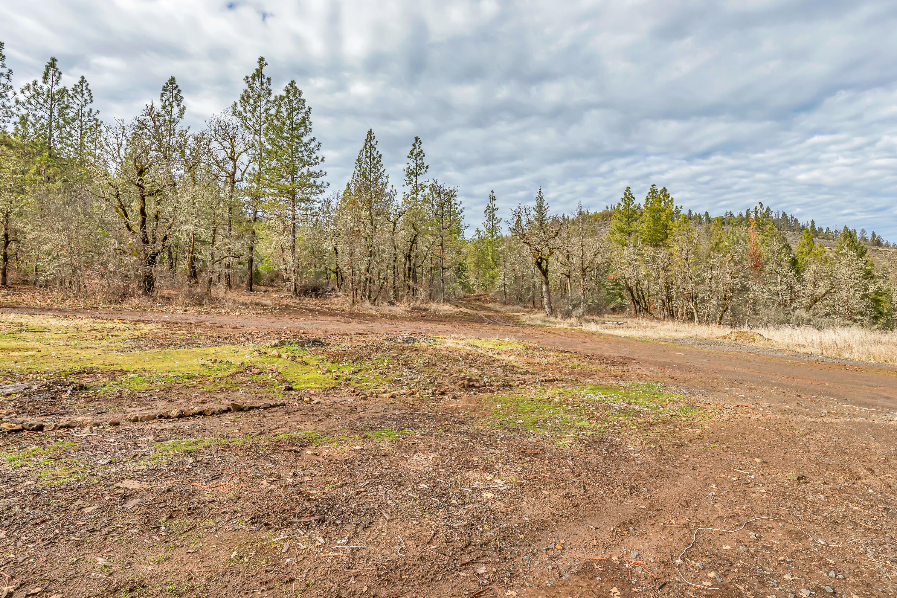 4534 Crowfoot Road Trail, OR 97541 - Photo 6 of 34 9R9A2115