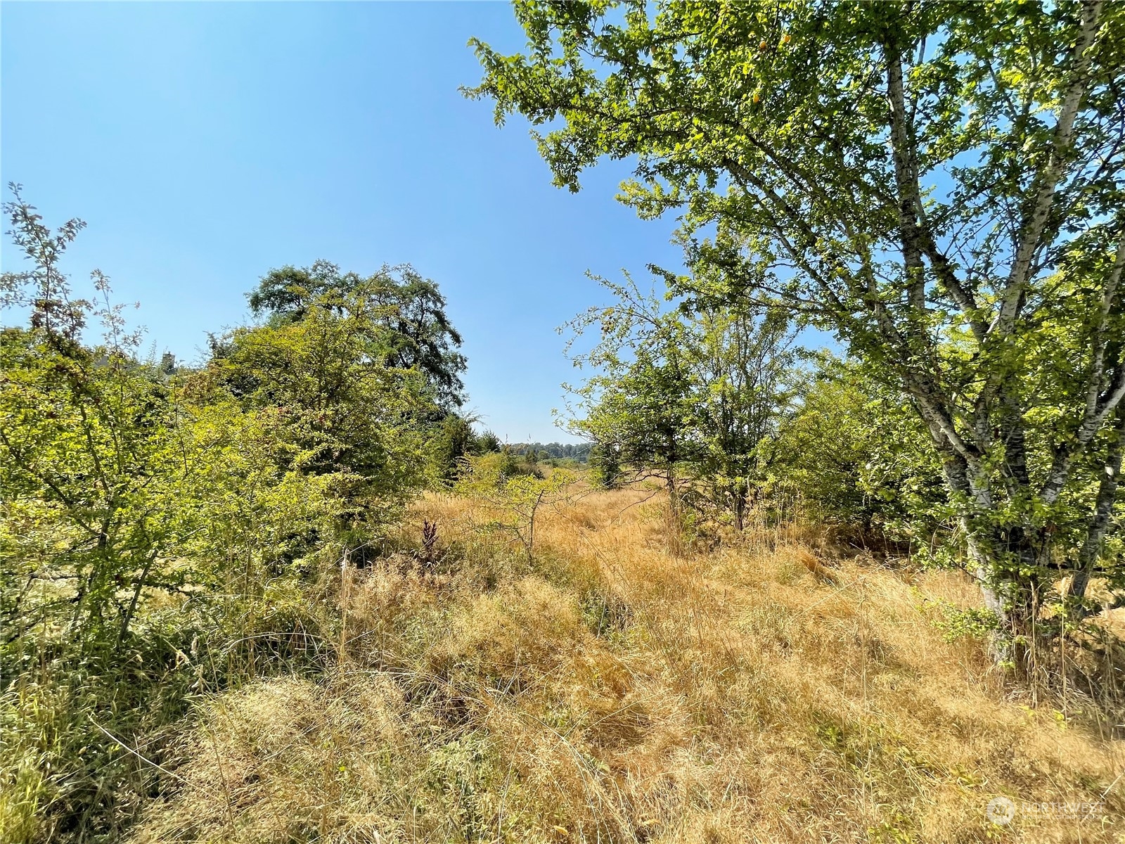 697 Spiketon Road Buckley, WA 98321 - Photo 13 of 38 Gallery Image 13