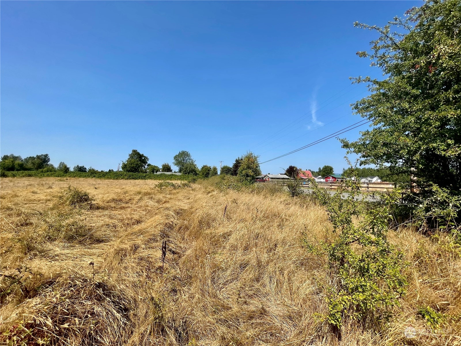 697 Spiketon Road Buckley, WA 98321 - Photo 15 of 38 Gallery Image 15
