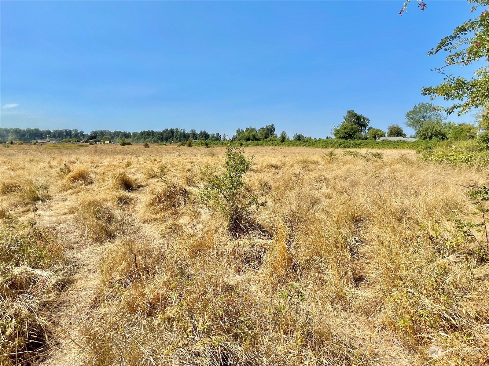 697 Spiketon Road Buckley, WA 98321 - Photo 37 of 38 Gallery Image 37