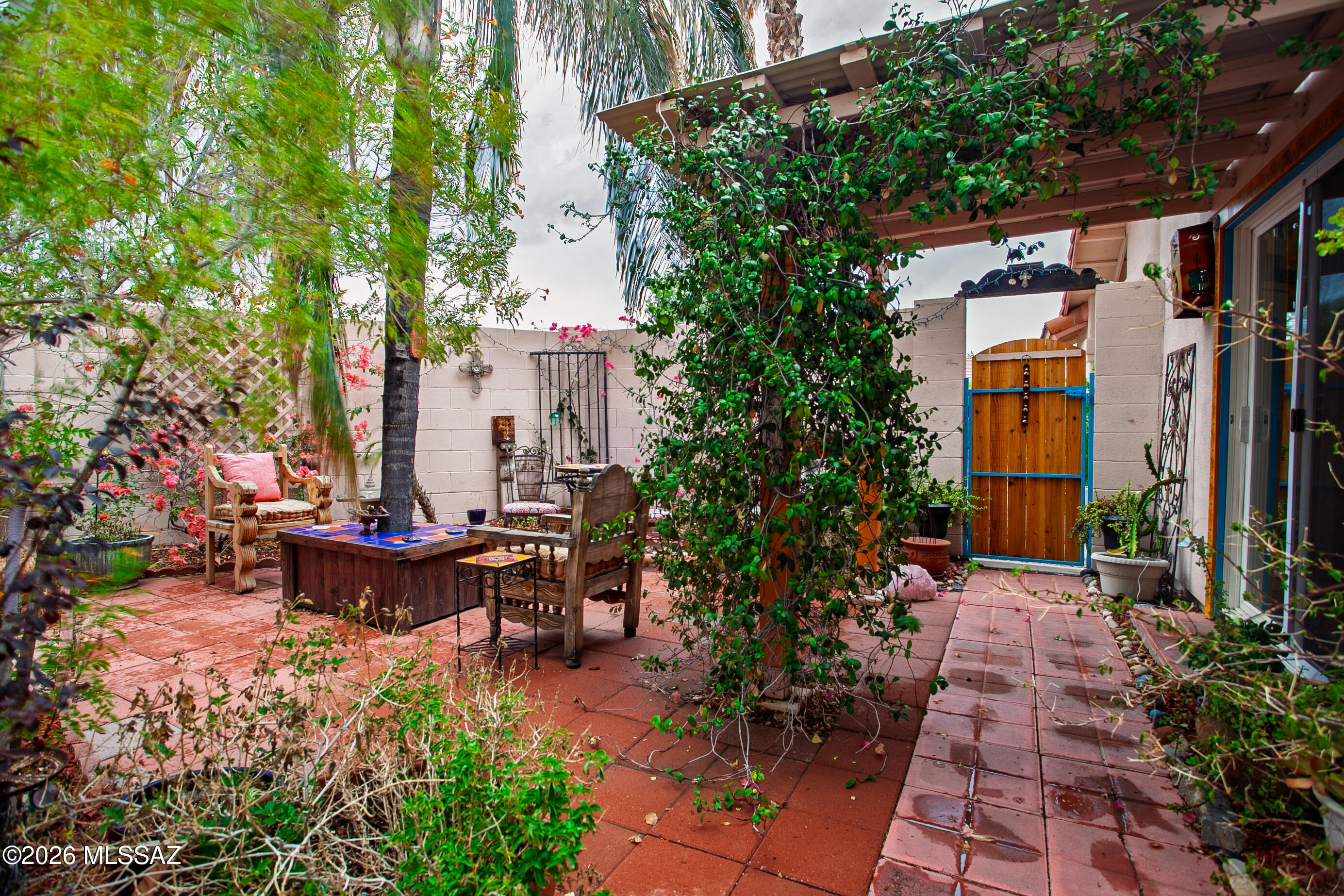 3469 West Sky Ridge Loop Tucson, AZ 85742 - Photo 3 of 50 Gorgeous & lush backyard / courtyard