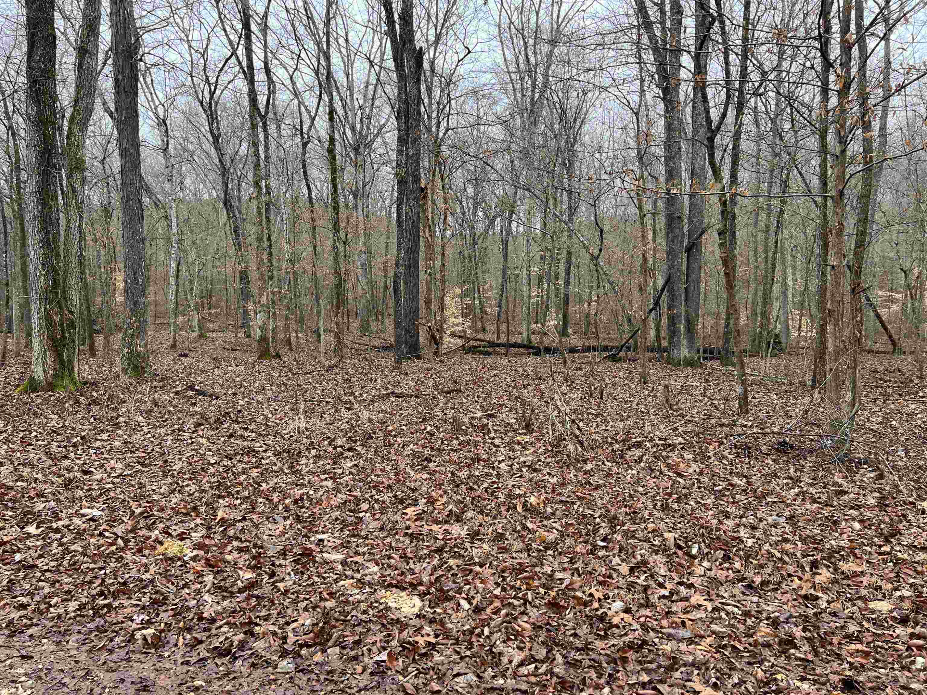 Point Mason (parcel 23&33) Road Big Sandy, TN 38221 - Photo 1 of 3 Photo 1