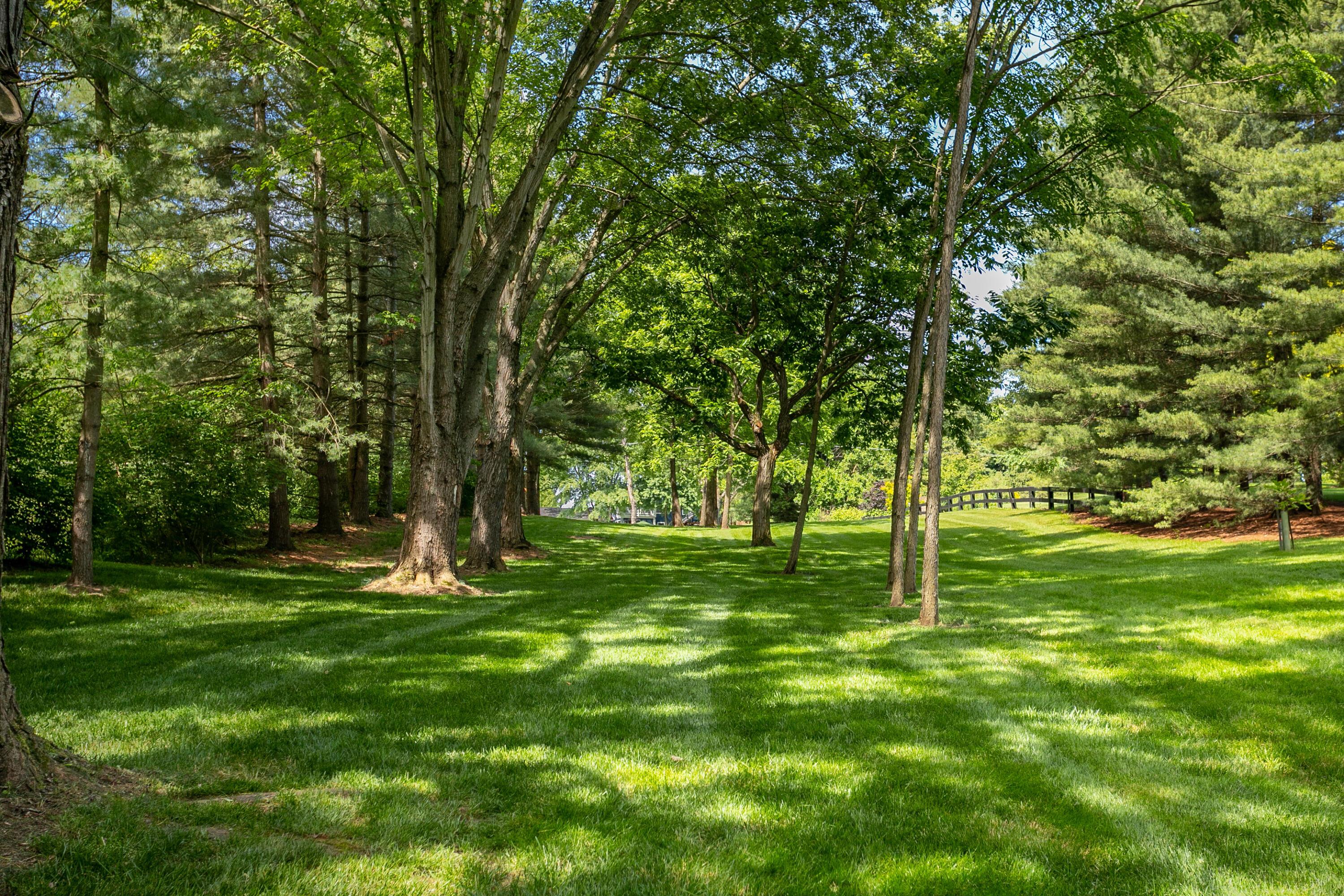 5969 Dublin Road Delaware, OH 43015 - Photo 54 of 80 _MG_4774