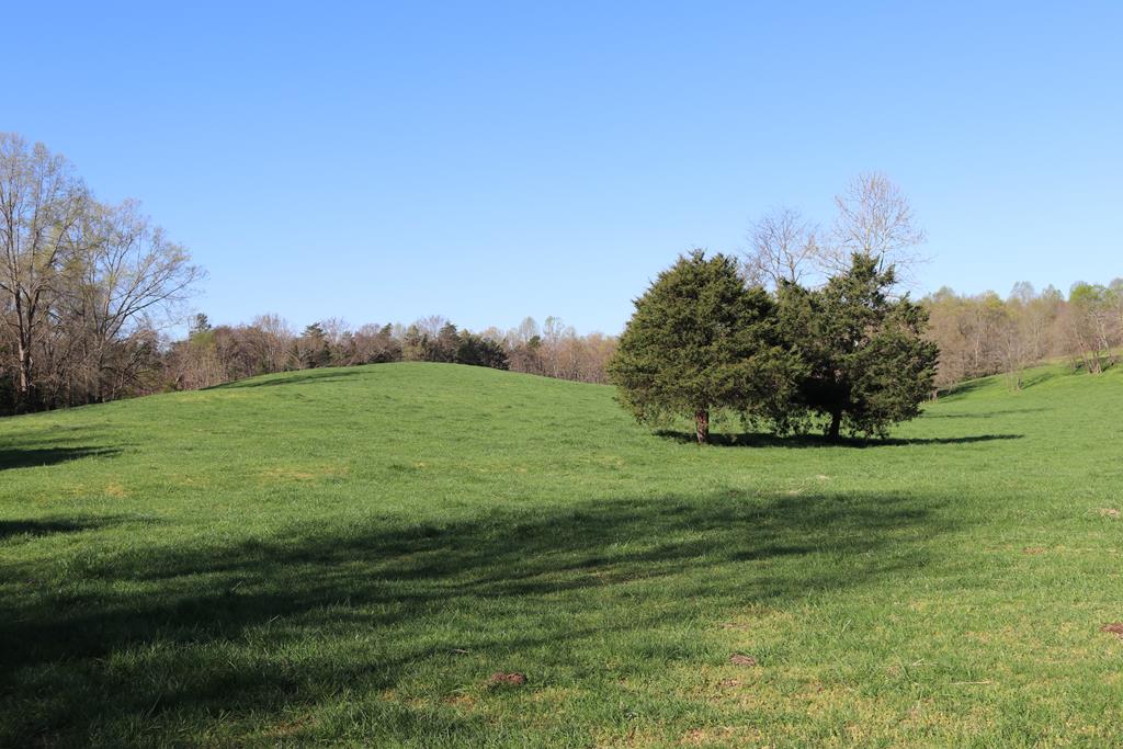 657 Jamestown Road, Unit 4 Farmville, VA 23901 - Photo 4 of 5 Gallery Image 4
