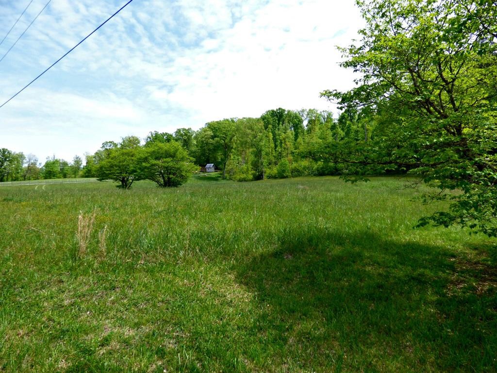 58 Camellia Road Newport, TN 37821 - Photo 6 of 13 Gallery Image 6