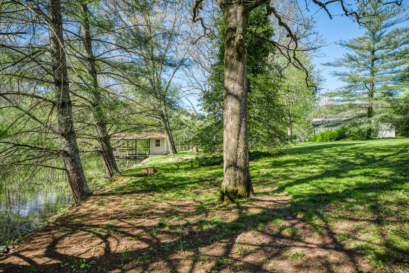 1518 Cherokee Road East Crossville, TN 38572 - Photo 11 of 38 Trees by the Lake