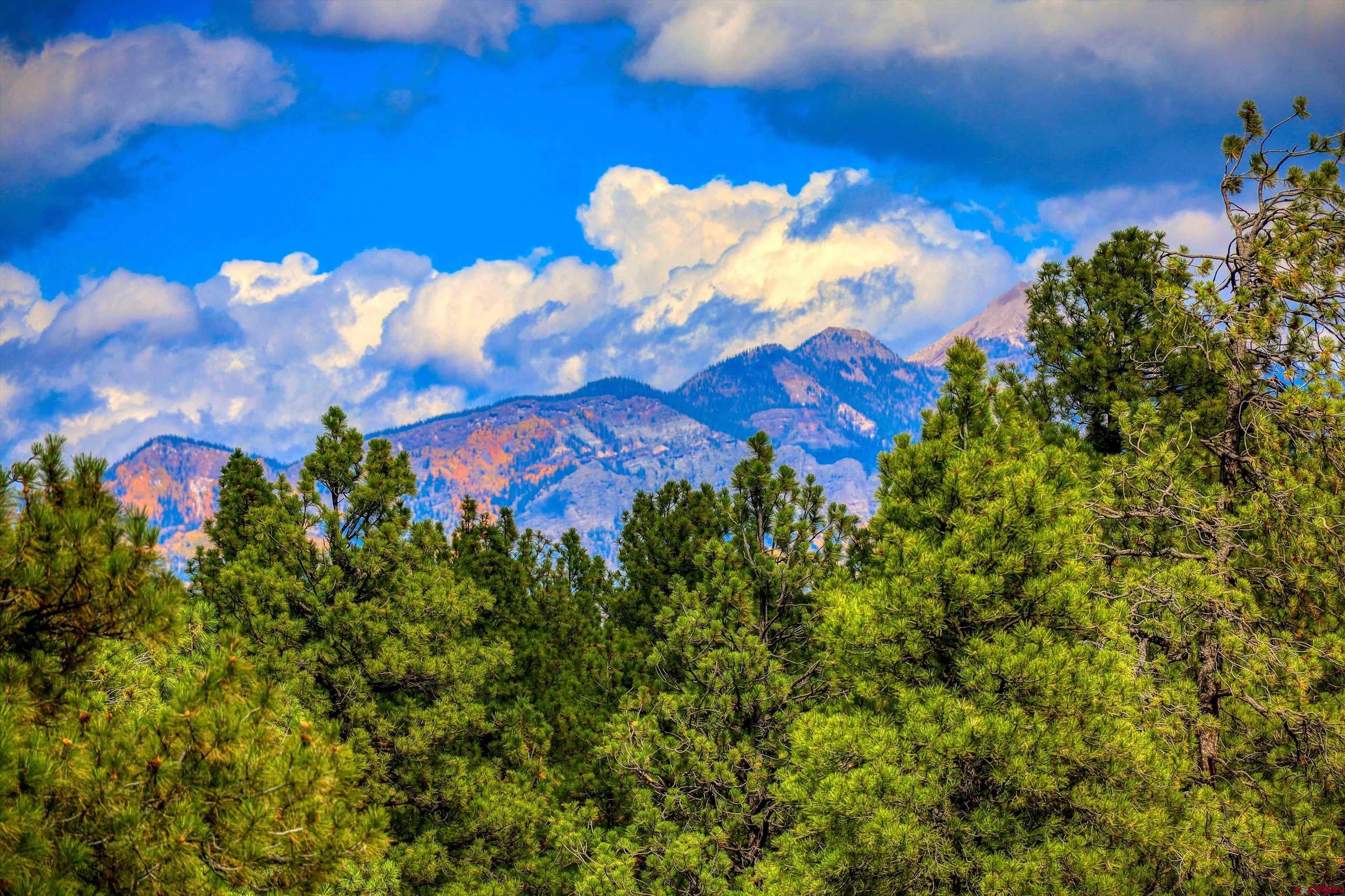 171 South Squaw Canyon Place Pagosa Springs, CO 81147 - Photo 33 of 45 a view of a houses