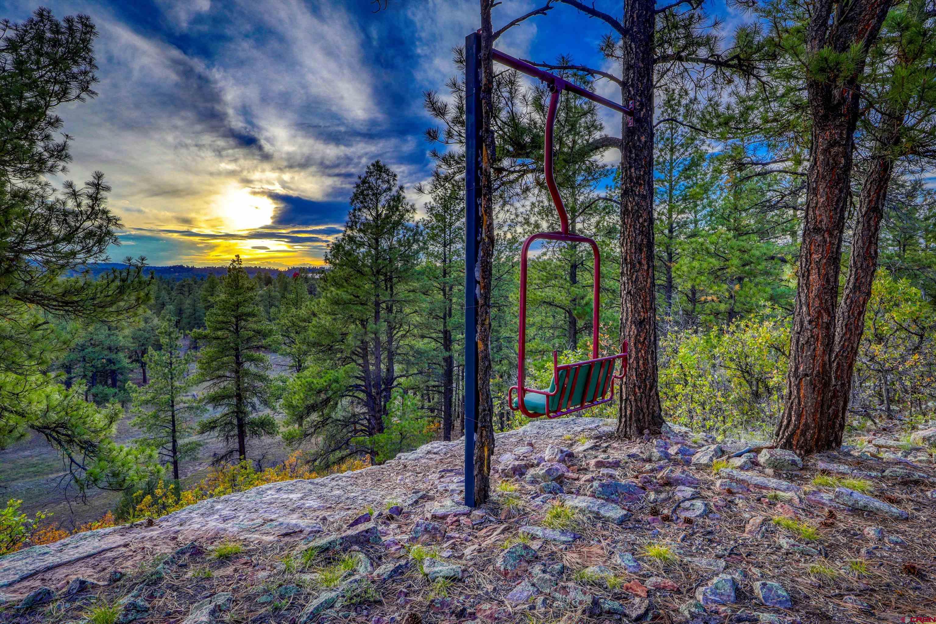 171 South Squaw Canyon Place Pagosa Springs, CO 81147 - Photo 35 of 45 a view of a yard with a tree