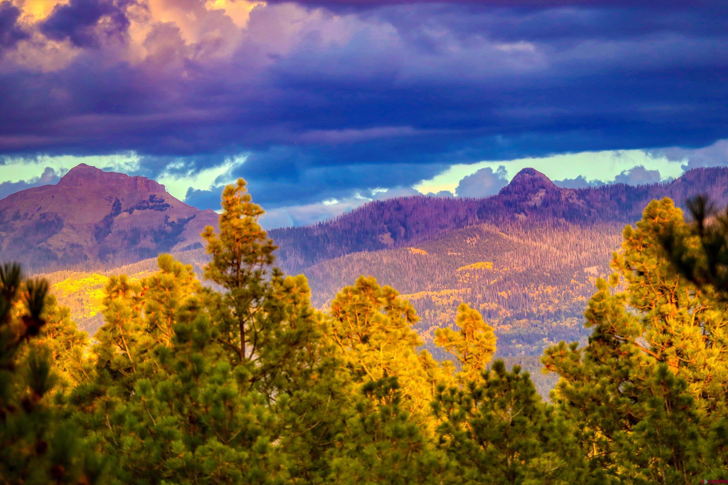 171 South Squaw Canyon Place Pagosa Springs, CO 81147 - Photo 40 of 45 a view of a yard