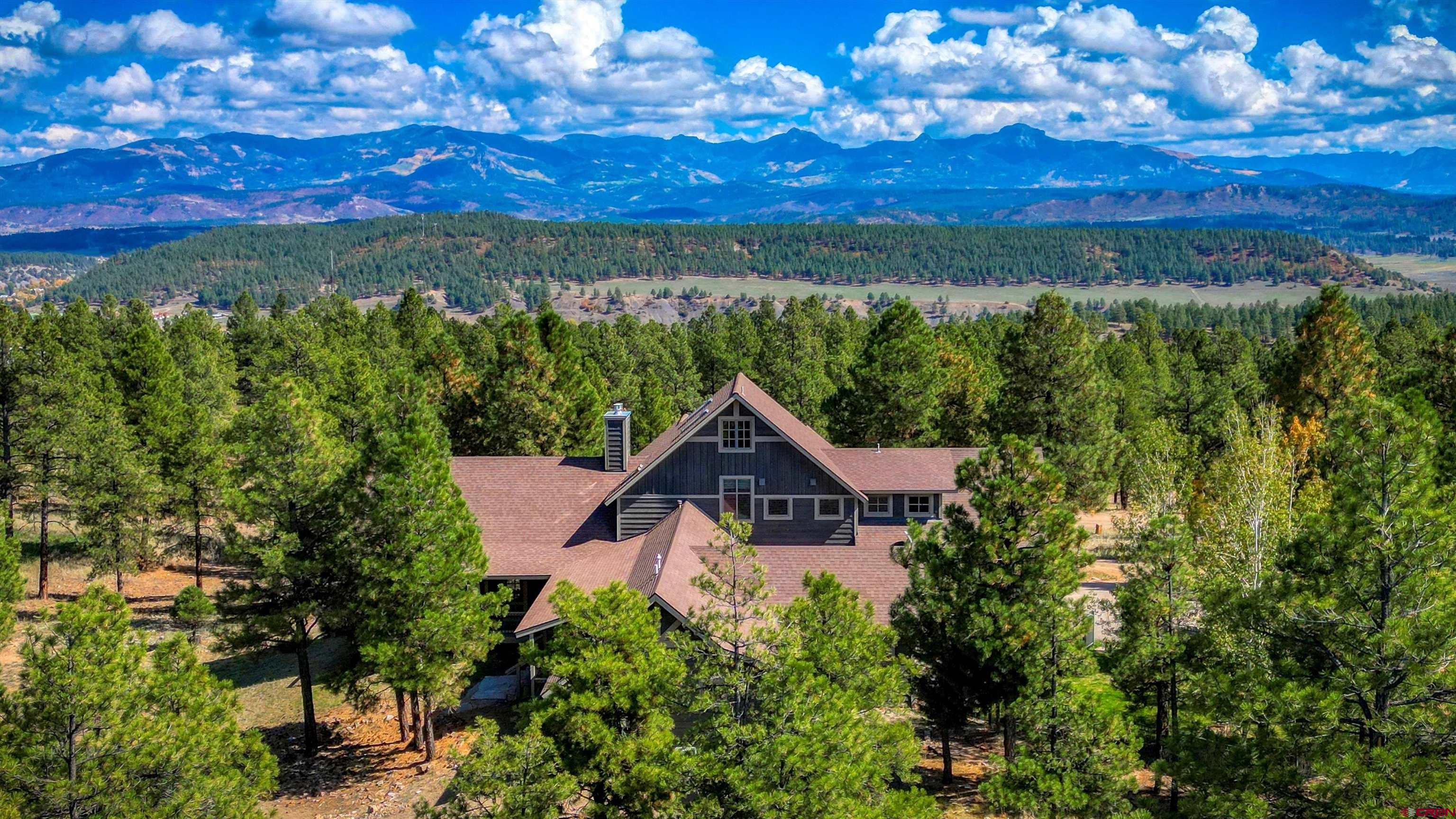 171 South Squaw Canyon Place Pagosa Springs, CO 81147 - Photo 42 of 45 a view of a house with a yard and a large tree