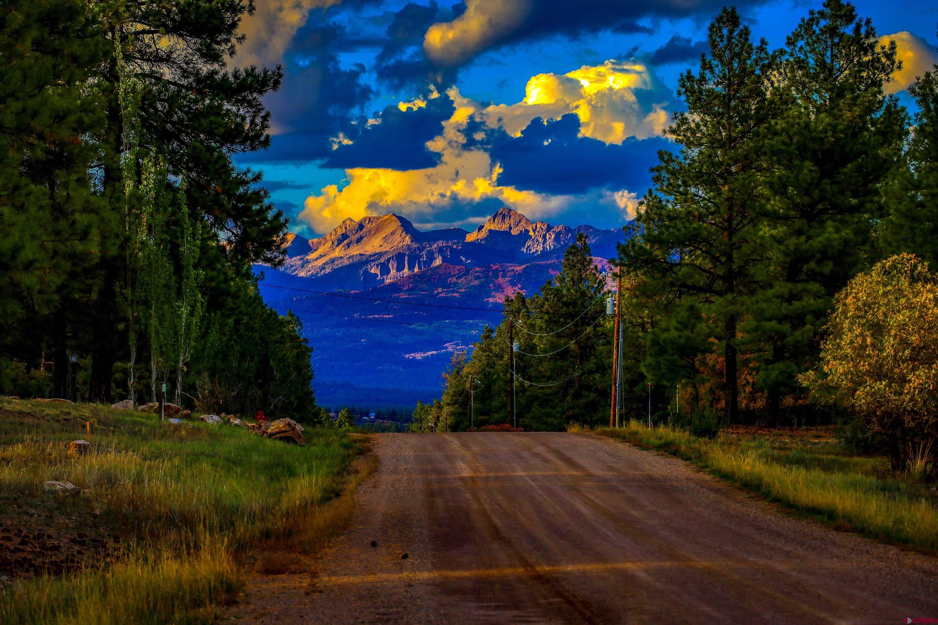171 South Squaw Canyon Place Pagosa Springs, CO 81147 - Photo 45 of 45 a view of a yard with large tree