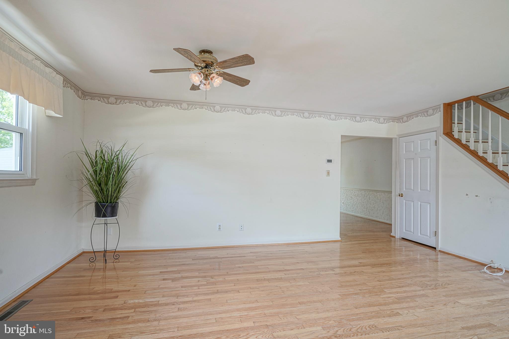 24 Birch Avenue Maple Shade, NJ 08052 - Photo 5 of 31 Gallery Image 5