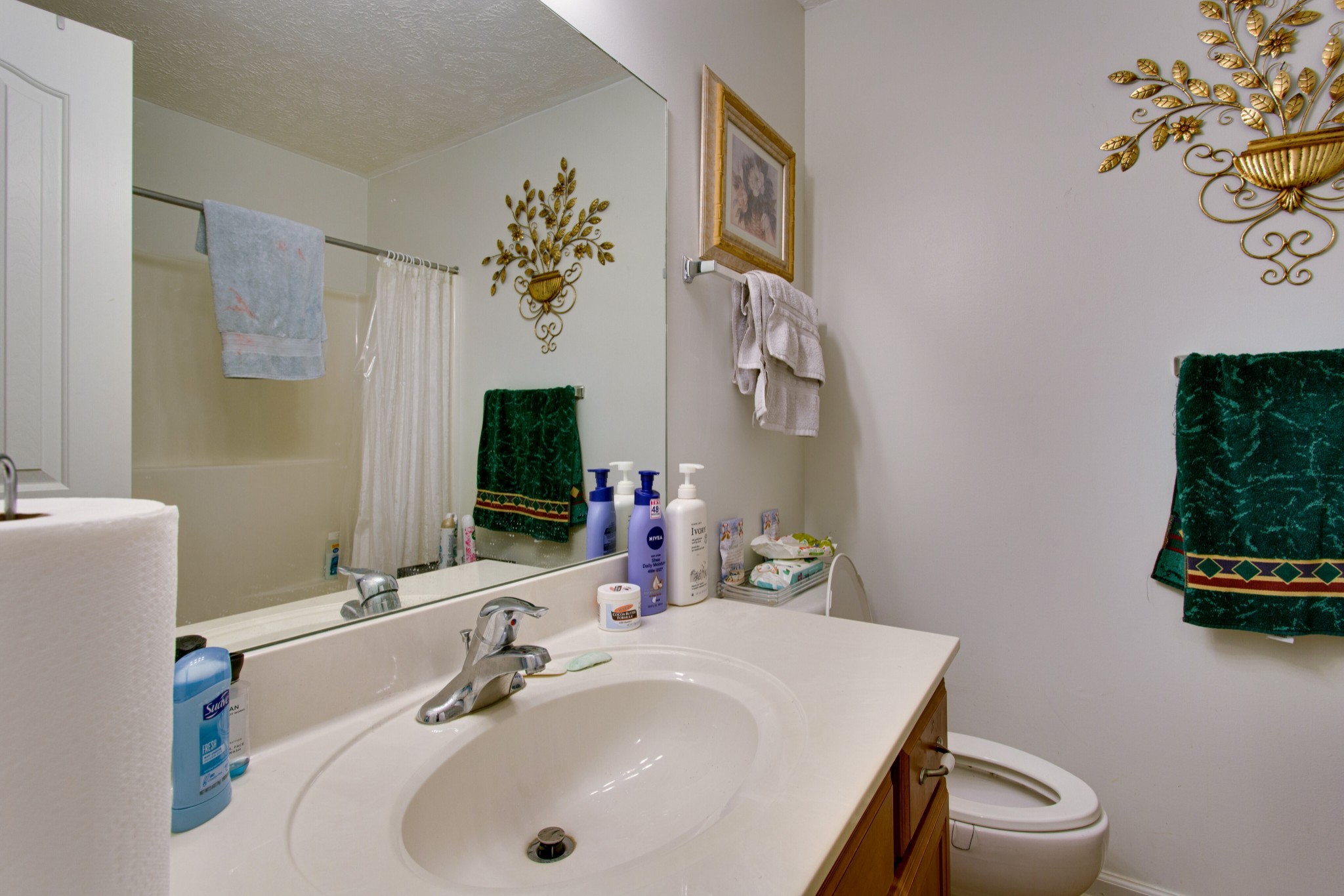 2214 Cason Trail Murfreesboro, TN 37128 - Photo 11 of 13 a bathroom with a sink toilet and a mirror