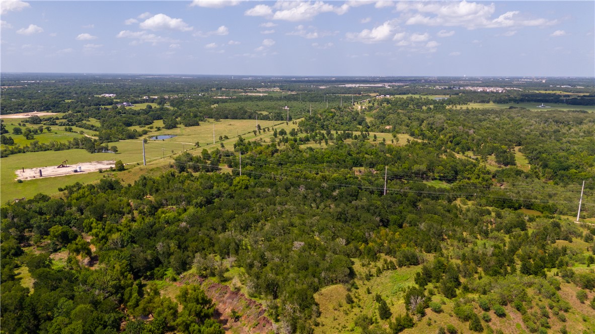 0 Leonard Road Bryan, TX 77807 - Photo 11 of 24 Drone / aerial view of a heavily wooded area