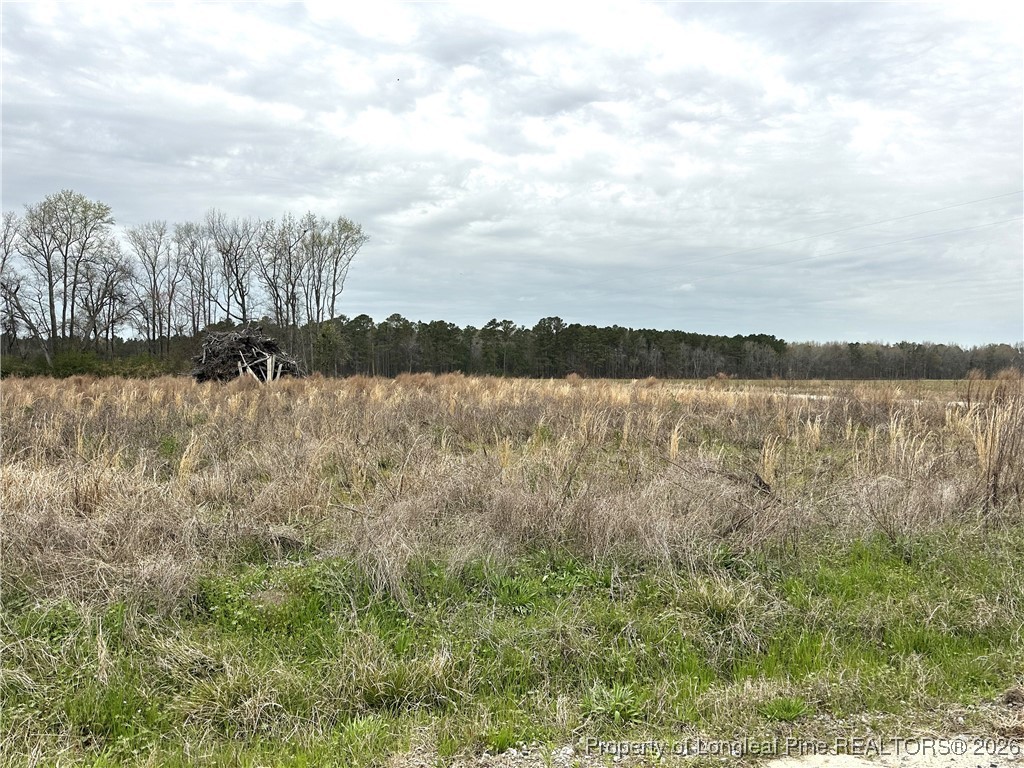Costner Road Lumber Bridge, NC 28357 - Photo 1 of 2 a view of a lake with houses in the back