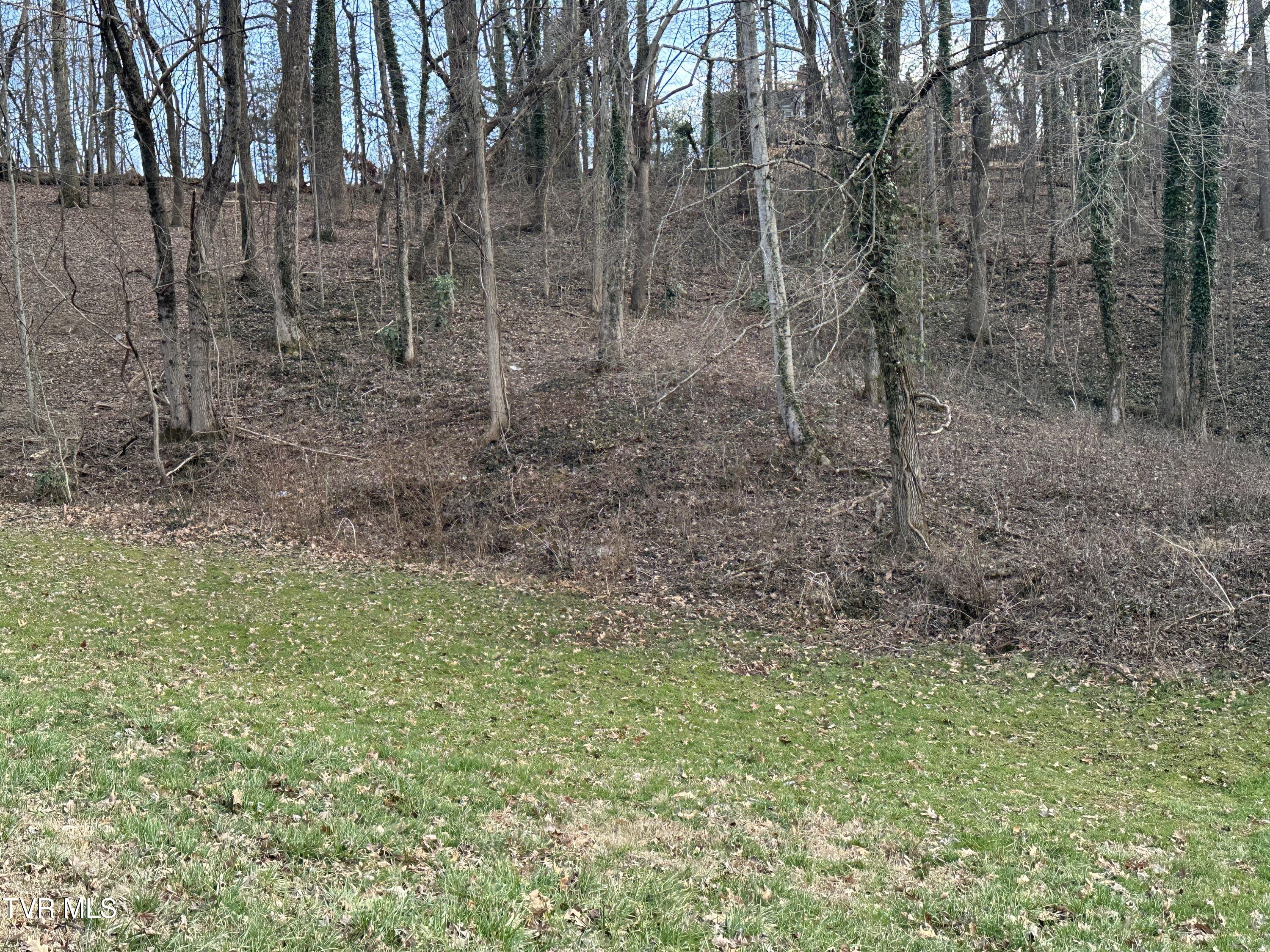 126 Maple Crest, Unit 22 Greeneville, TN 37743 - Photo 7 of 8 IMG_5606 (1)