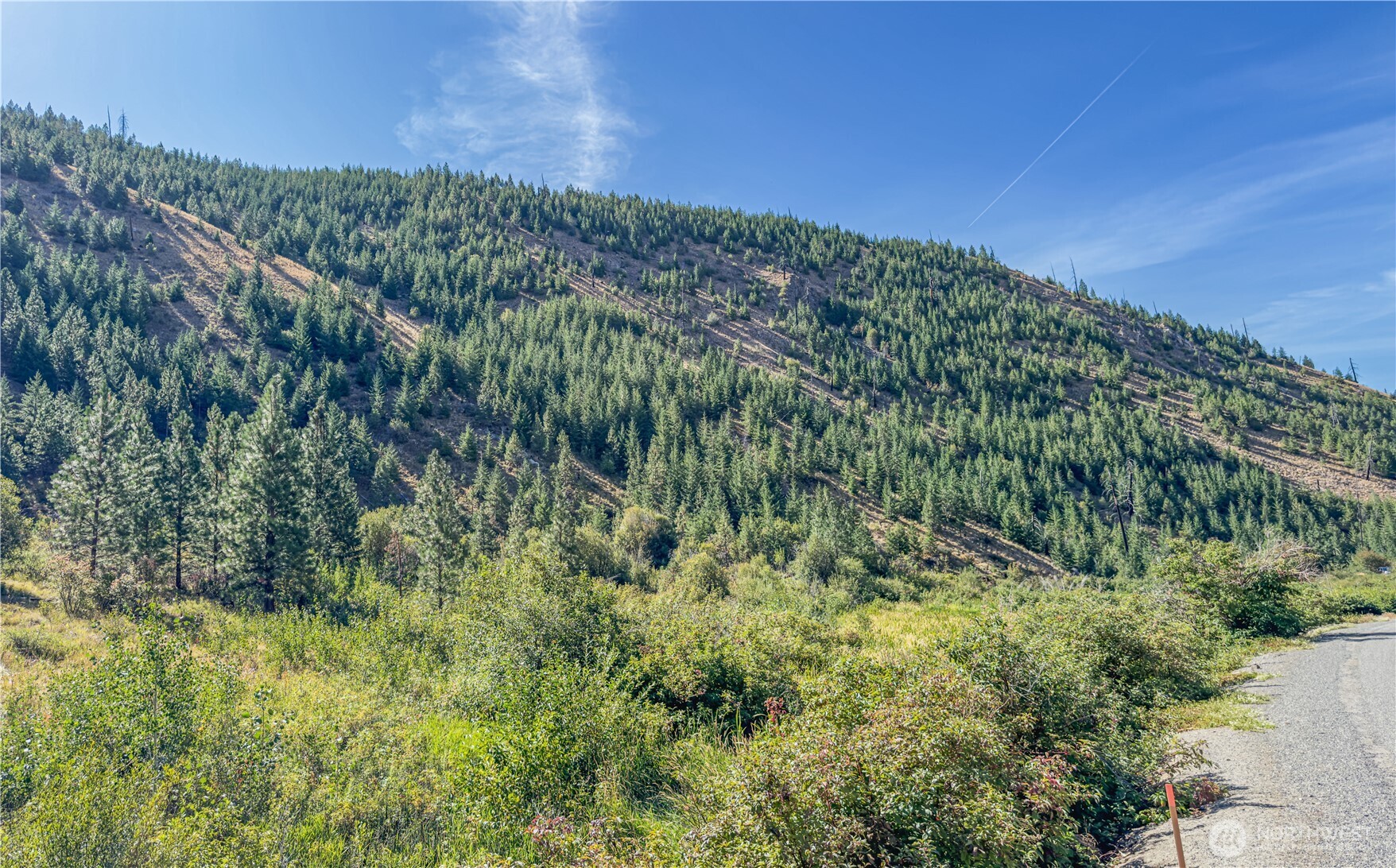 10558 Mud Creek Road Entiat, WA 98822 - Photo 1 of 23 a view of a green field with lots of bushes