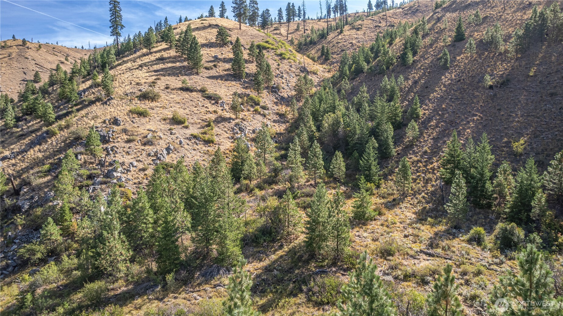 10558 Mud Creek Road Entiat, WA 98822 - Photo 12 of 23 a close up of a tree