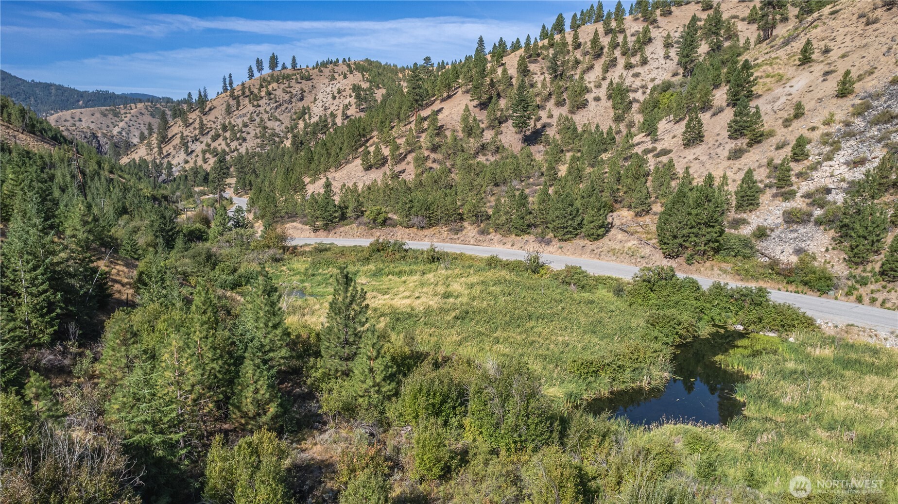 10558 Mud Creek Road Entiat, WA 98822 - Photo 13 of 23 a view of a forest with a yard
