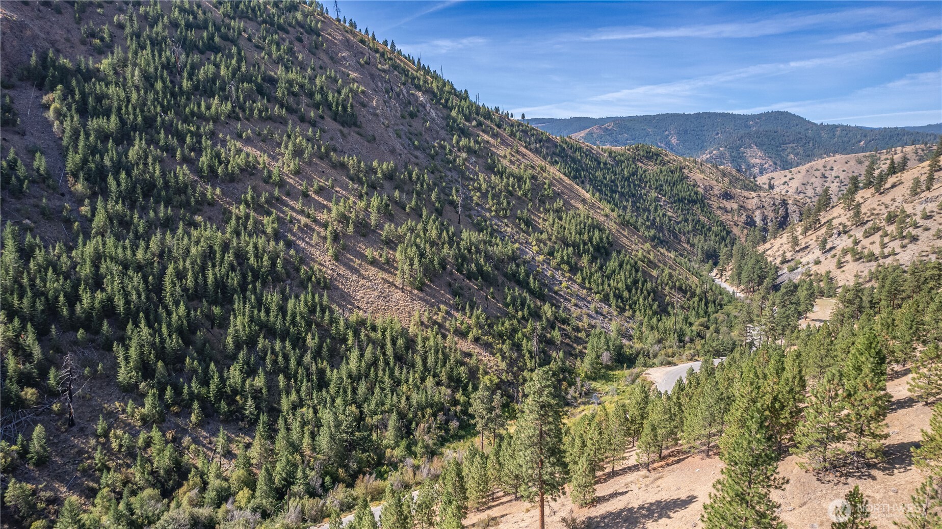 10558 Mud Creek Road Entiat, WA 98822 - Photo 16 of 23 a view of a forest with mountains in the background