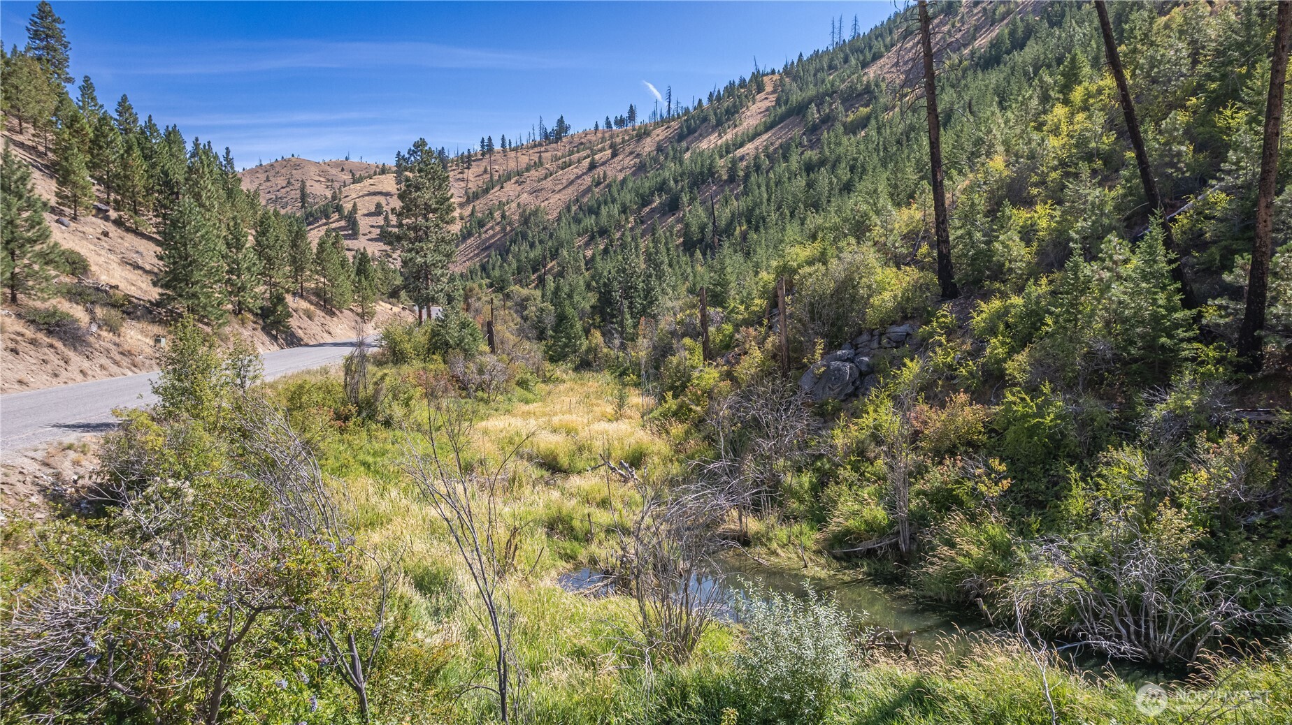 10558 Mud Creek Road Entiat, WA 98822 - Photo 18 of 23 a view of a lush green forest with lots of trees