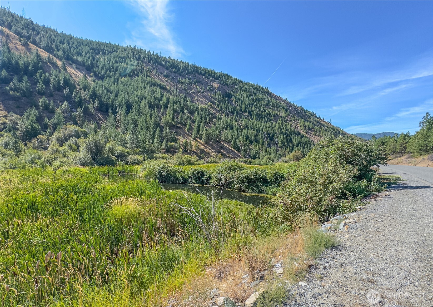 10558 Mud Creek Road Entiat, WA 98822 - Photo 2 of 23 a view of a lake with a mountain in the background
