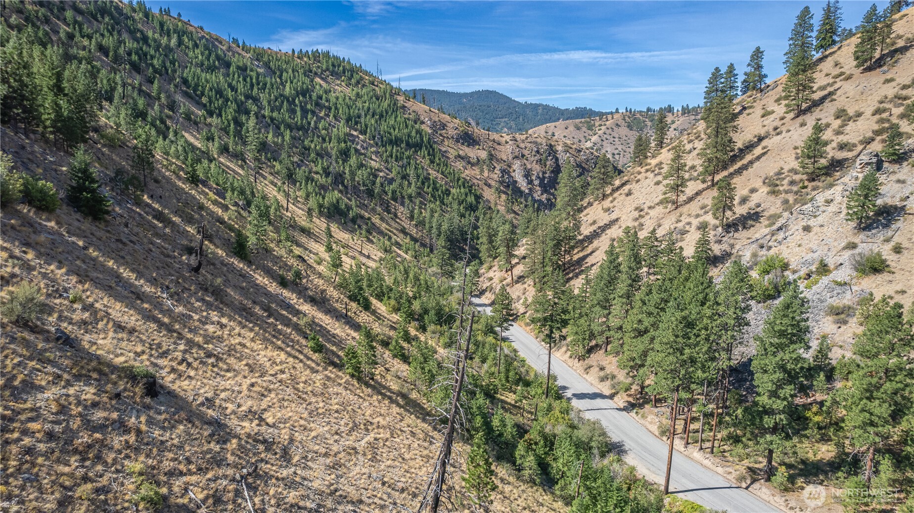10558 Mud Creek Road Entiat, WA 98822 - Photo 21 of 23 a view of a forest with mountains in the background