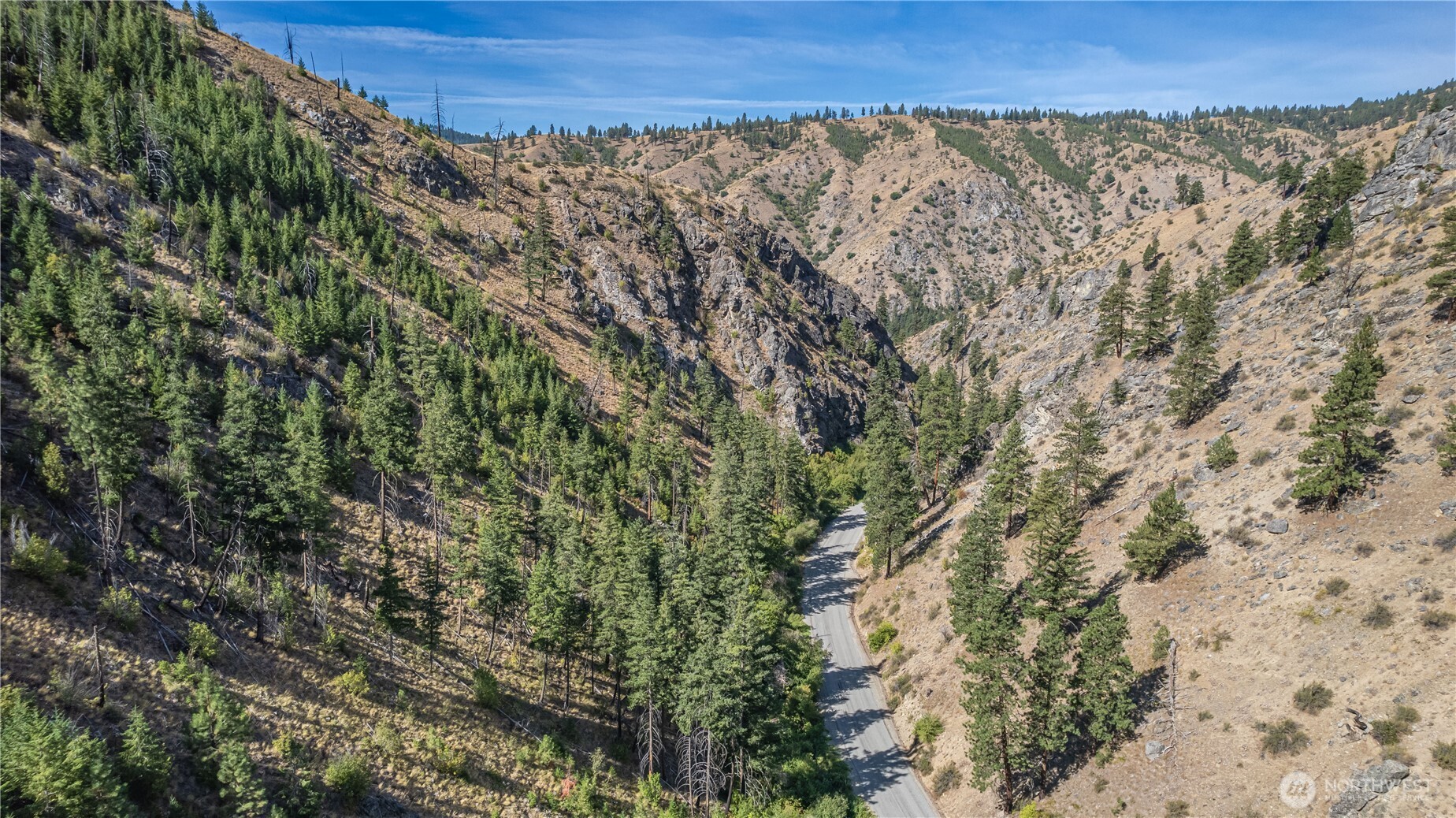 10558 Mud Creek Road Entiat, WA 98822 - Photo 22 of 23 a view of a large forest with a mountain in the background