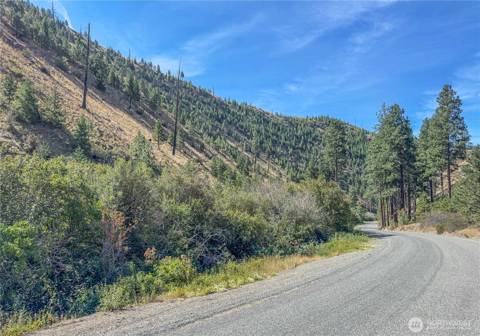10558 Mud Creek Road Entiat, WA 98822 - Photo 5 of 23 a view of a road with a yard