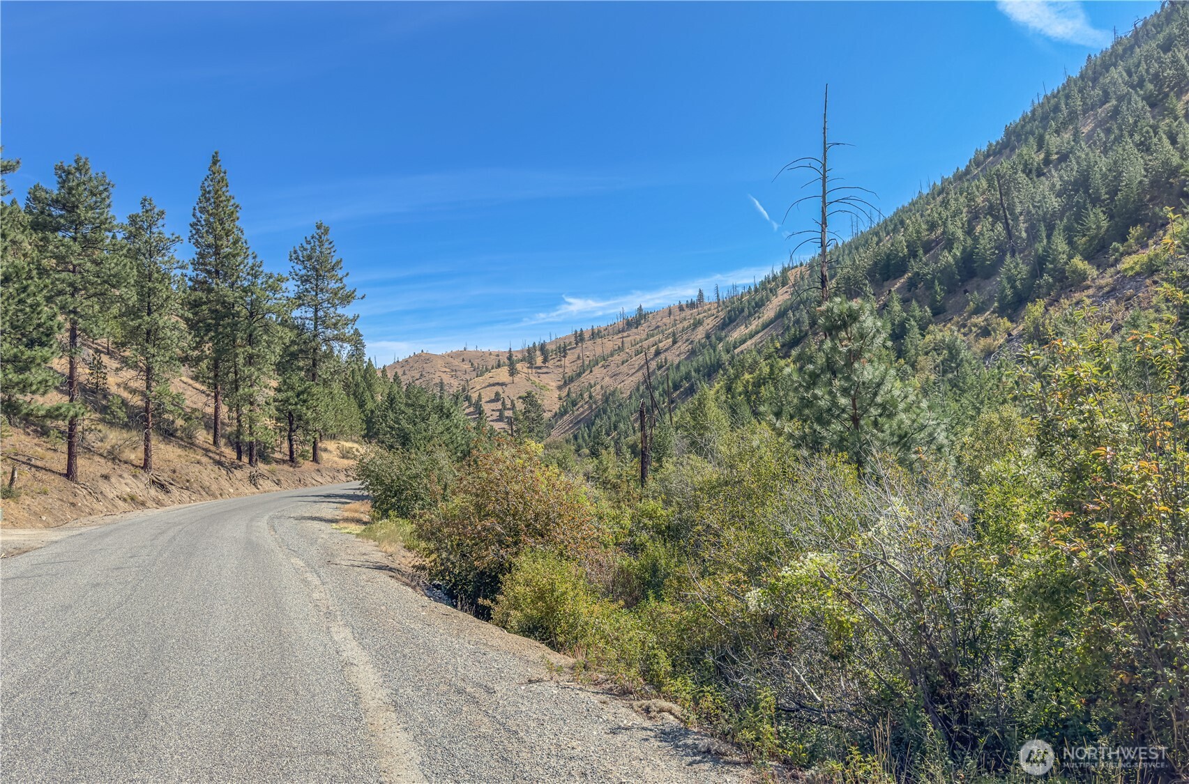 10558 Mud Creek Road Entiat, WA 98822 - Photo 6 of 23 a view of a road with a yard