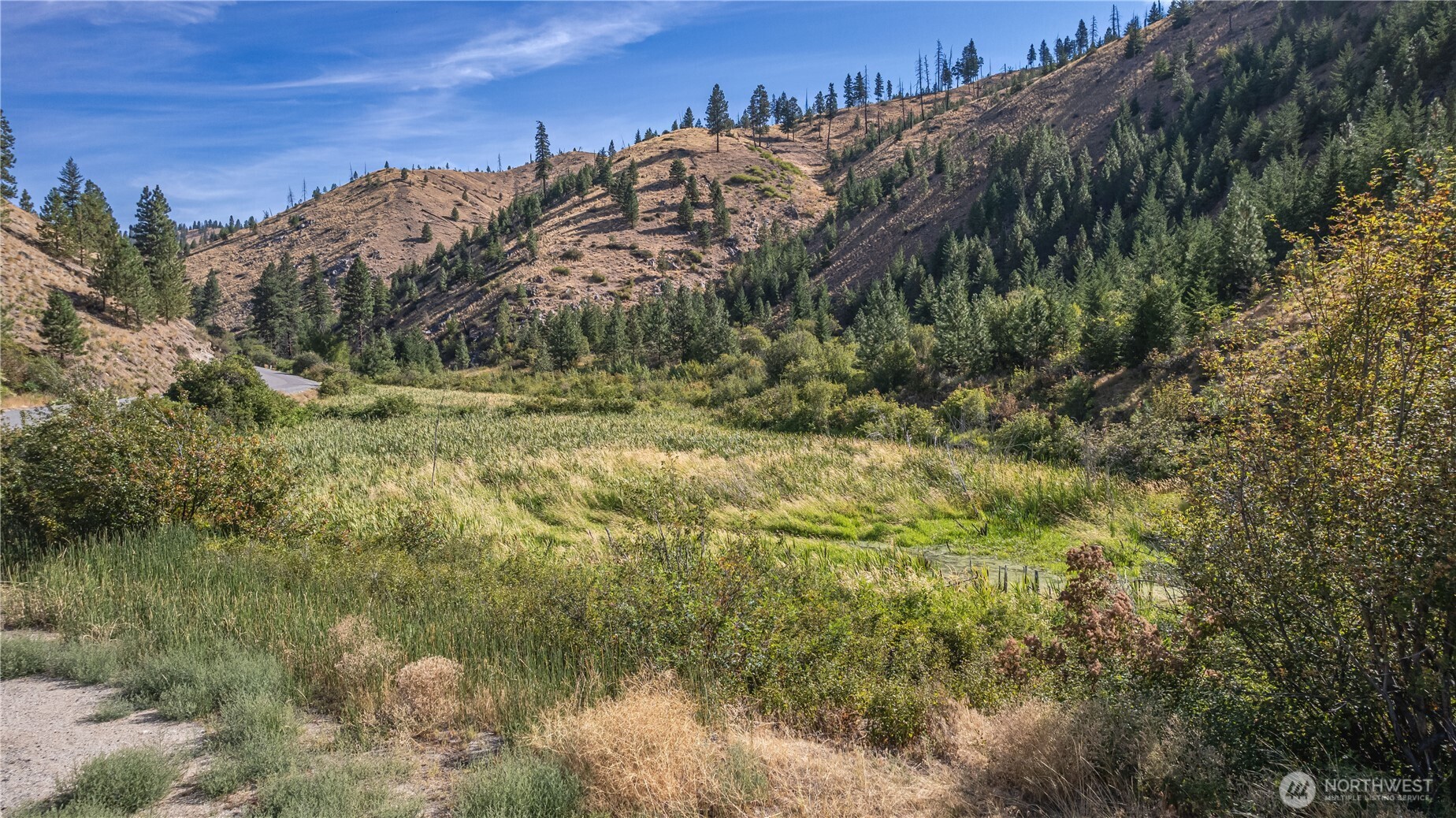10558 Mud Creek Road Entiat, WA 98822 - Photo 7 of 23 a view of a yard with plants and a building in the background