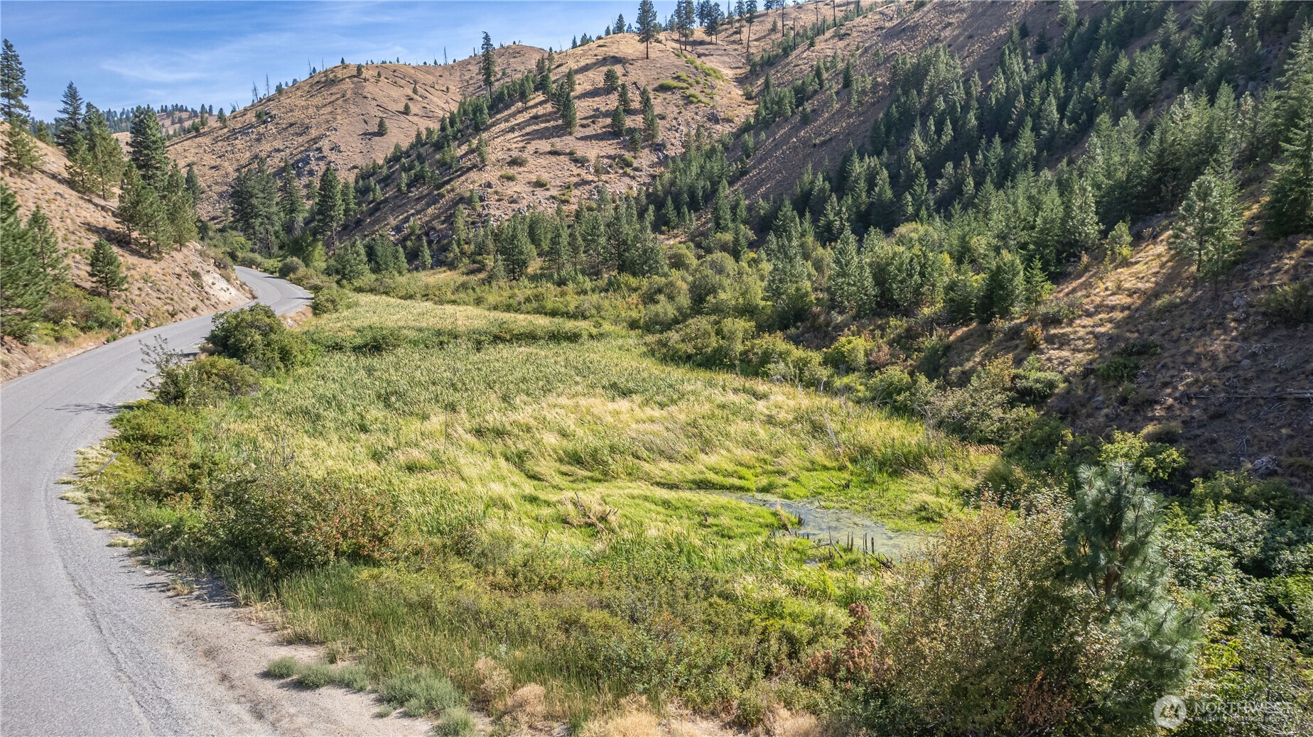 10558 Mud Creek Road Entiat, WA 98822 - Photo 8 of 23 a view of a yard with a tree