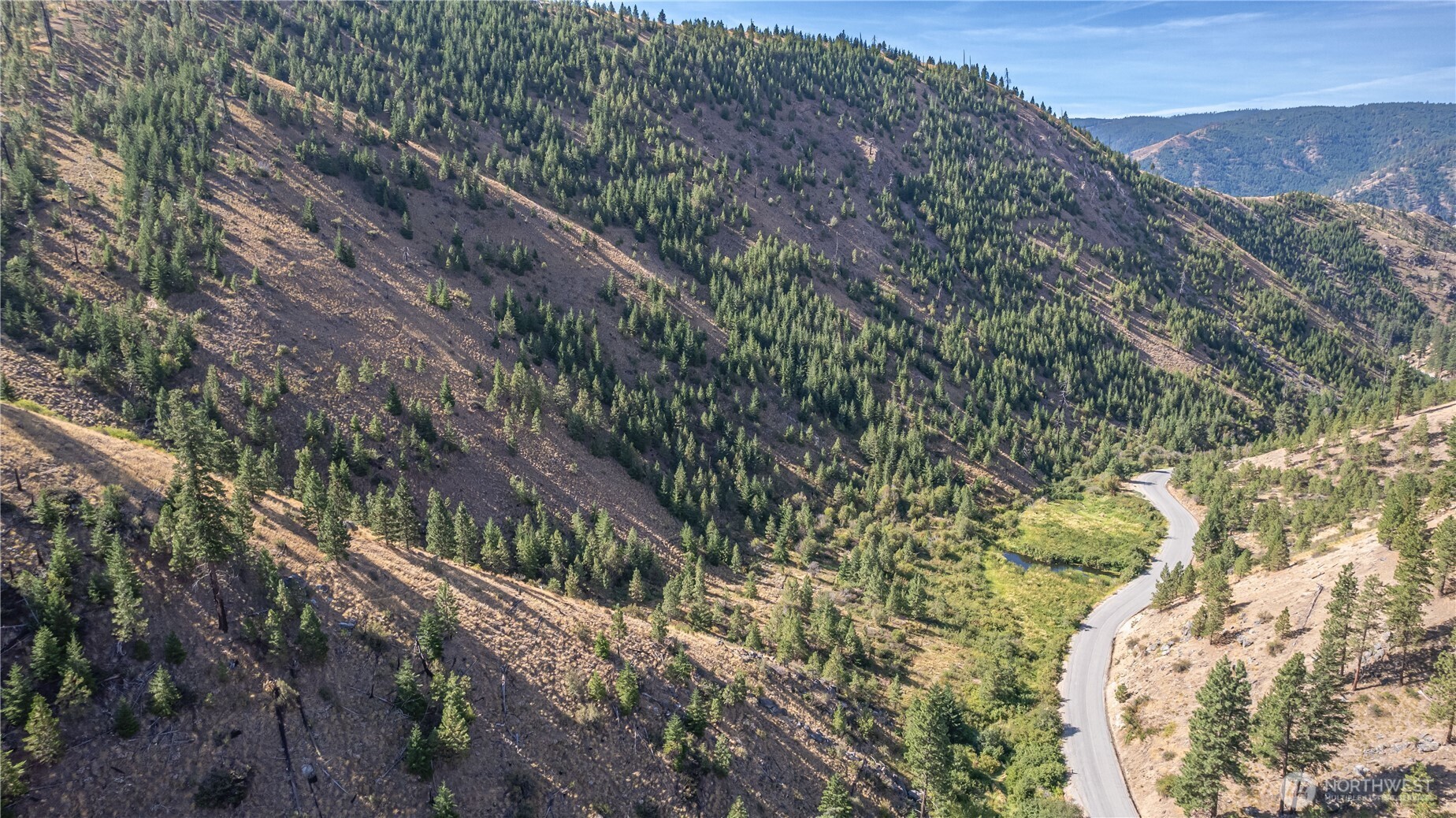 10558 Mud Creek Road Entiat, WA 98822 - Photo 9 of 23 a view of a yard with plants and large trees