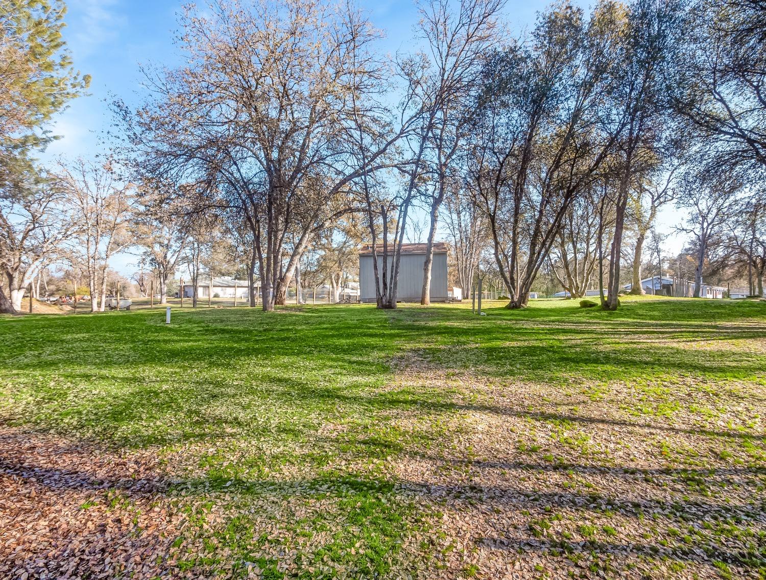 31801 Cherokee Road Coarsegold, CA 93614 - Photo 19 of 27 Gallery Image 19