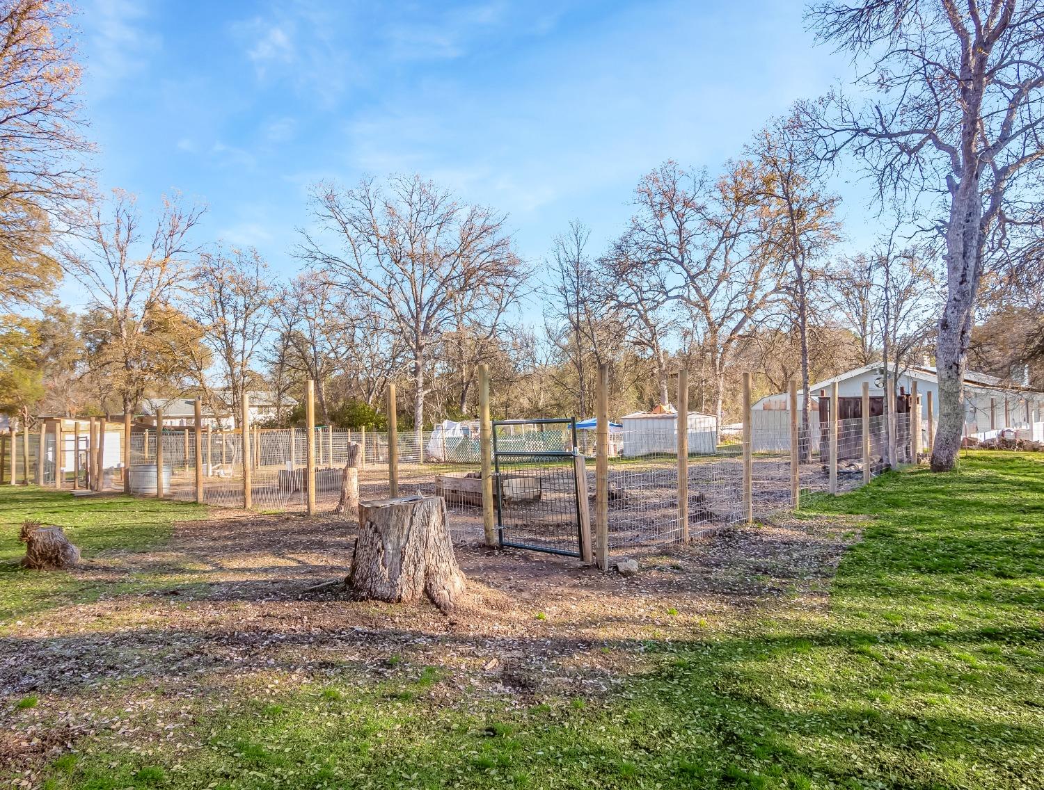 31801 Cherokee Road Coarsegold, CA 93614 - Photo 22 of 27 Gallery Image 22