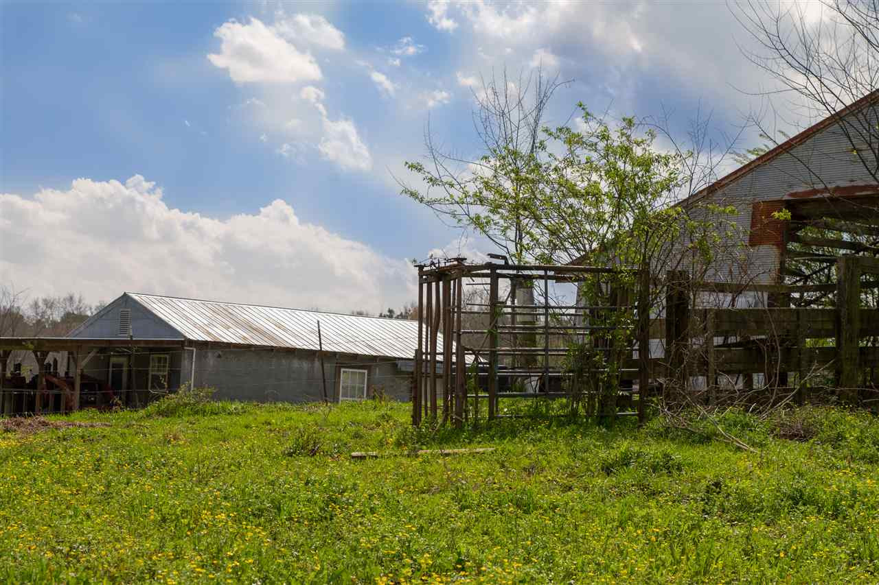 152 3 Point Lane Florence, MS 39073 - Photo 14 of 27 Photo 14